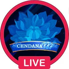 CENDANA777 - Pertarungan Seru di Dunia Pertarungan